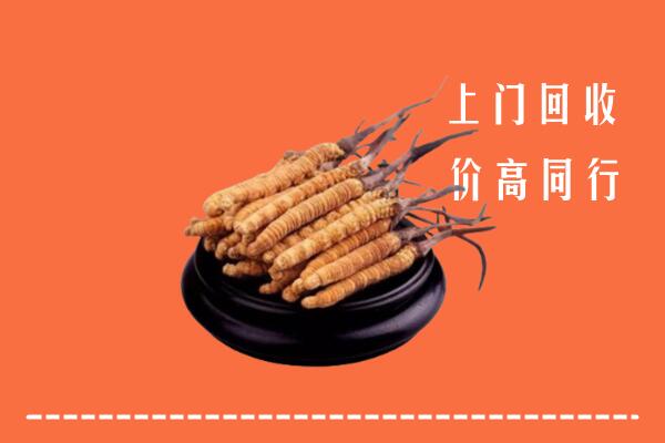 高价求购：东明县回收散虫草