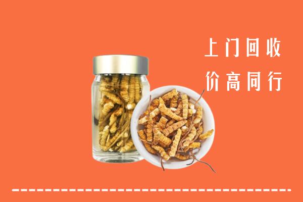 东明县回收冬虫夏草
